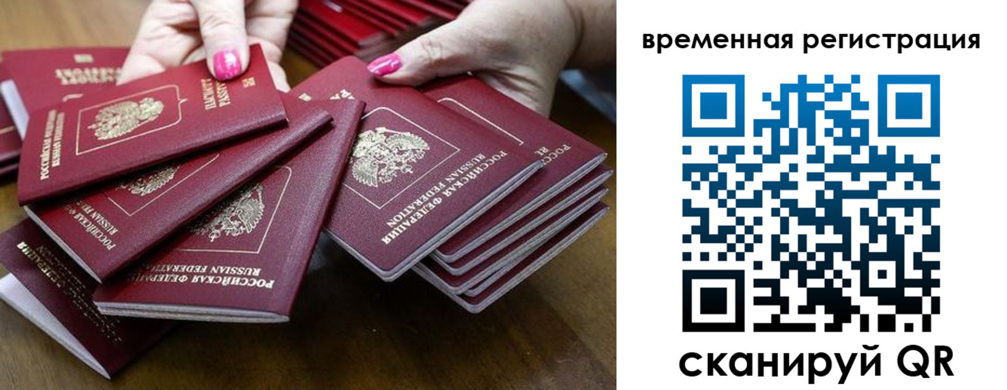 временная регистрация поиск в Николаевске